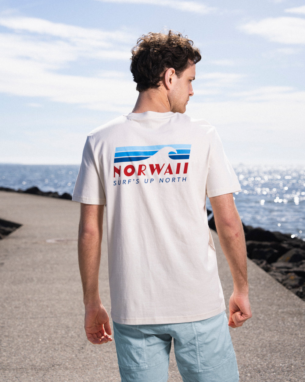Surf's up north Blue - Naturlig - Tee